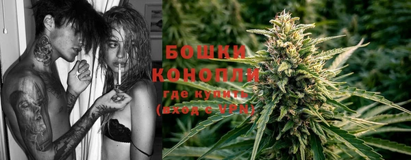 PSILOCYBIN Заволжье
