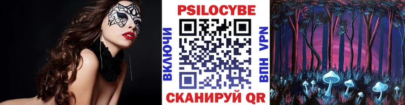 ОМГ ОМГ ТОР  Домодедово  Псилоцибиновые грибы GOLDEN TEACHER 